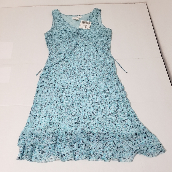 Petite Sophisticate Dresses & Skirts - Petite Sophisticate dress Women's size 4 blue floral nwt